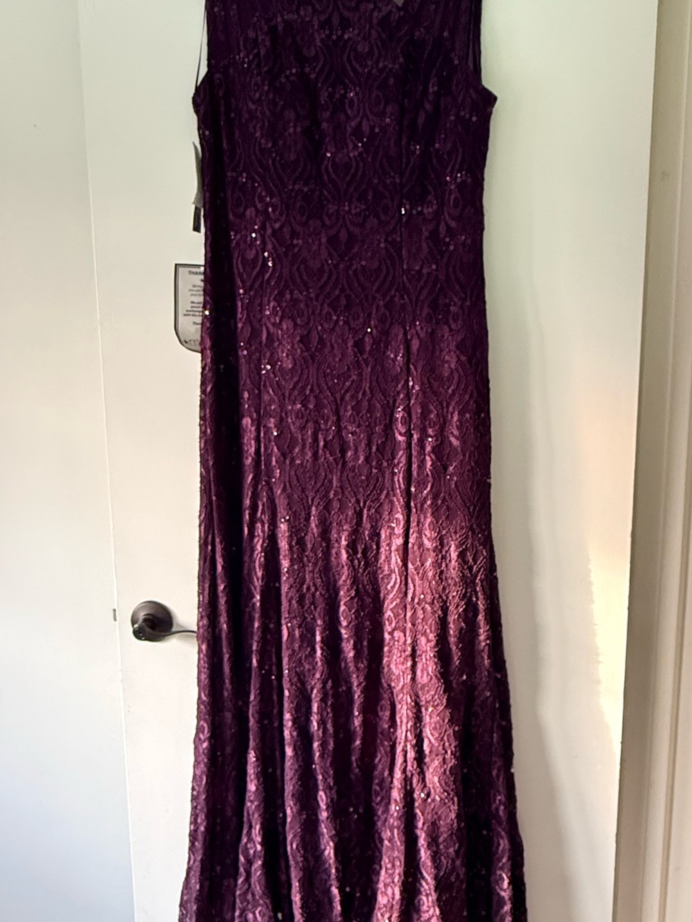 R&M Richards Plum Lace & Sequin Maxi Dress